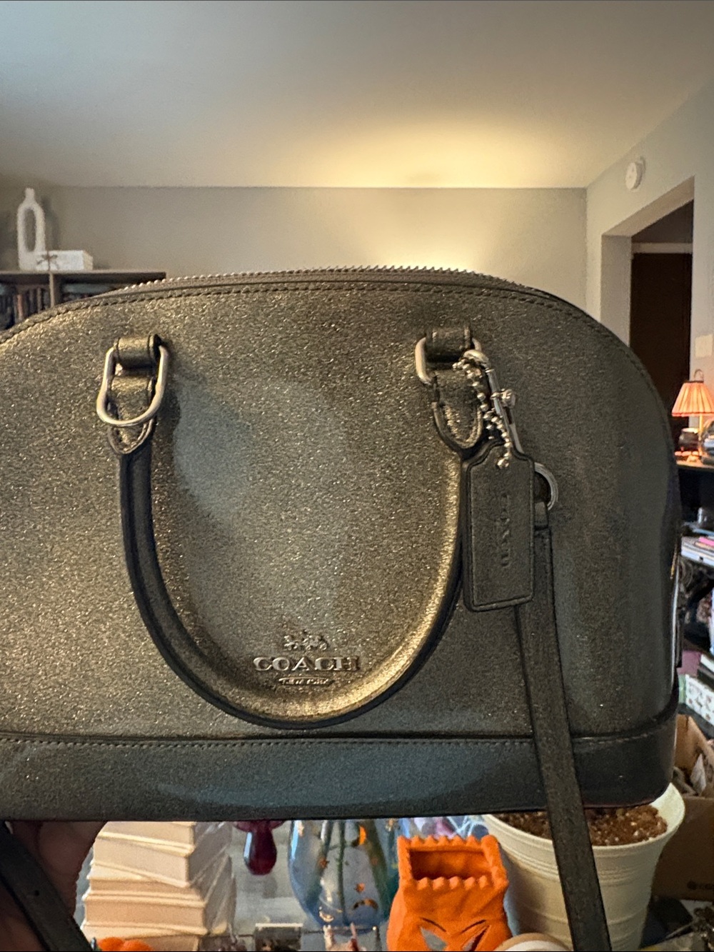 Coach Metallic Charcoal Dome Satchel - Coach